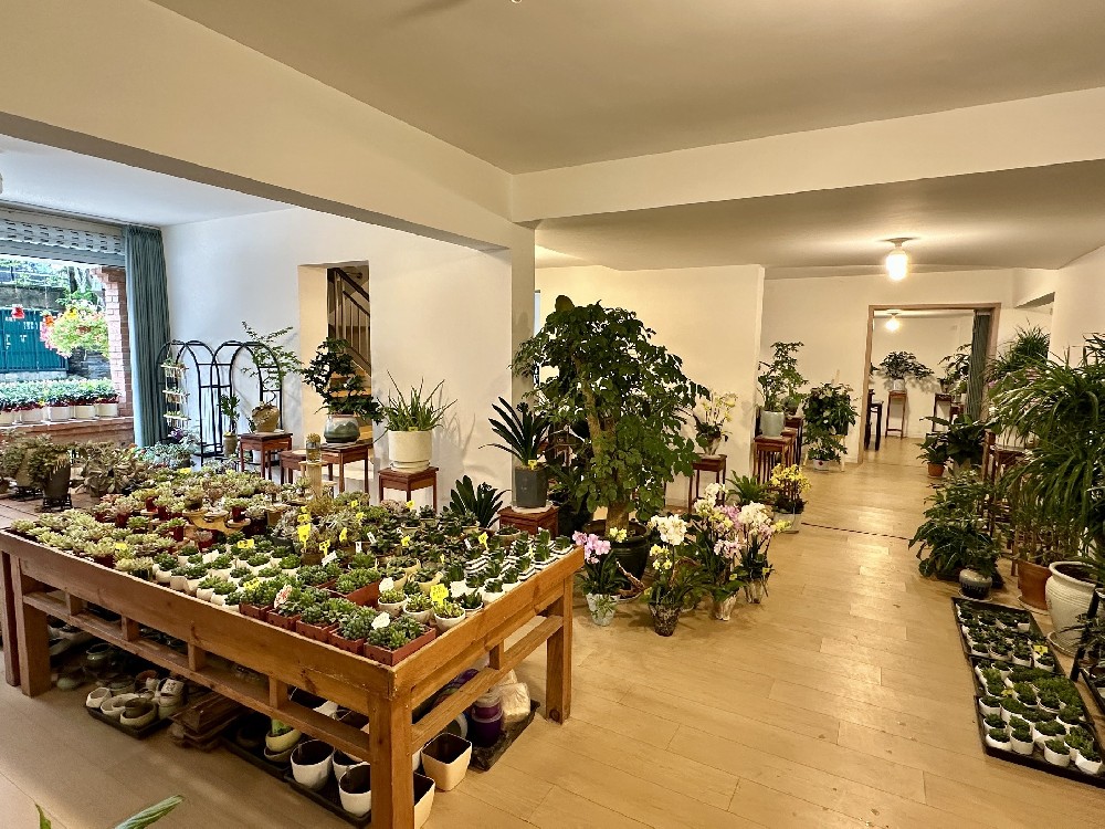 植物墙布景
