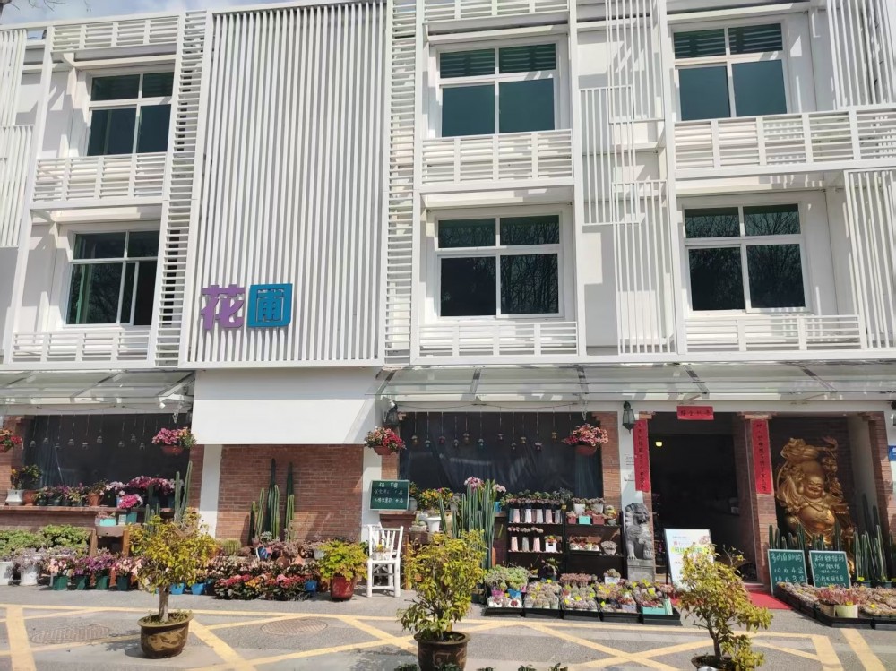 金华买盆栽到底去哪？如果只推荐一个地方，我会选金帆街739号